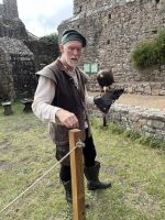Gorey Castle, Falkner mit Bussard