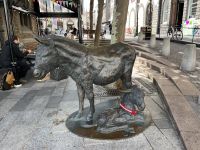  St. Peter Port, Guernsey, die Guernseybewohner werden Esel genannt