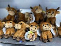 Jersey Kühe im Duty Free des Flughafens St. Helier