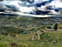 Das Dourotal ist das älteste Weinanbaugebiet der Welt