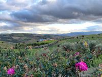 Bezaubernde Landschaft des Dourotales