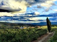 Abendstimmung am Douro