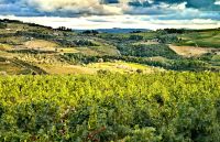 Einzigartige Landschaft des Dourotales