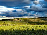Abendstimmung auf unserer Portugalreise