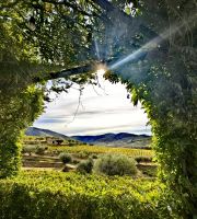 Bei dem Ausblick schmeckt der Porto gleich nochmal so gut