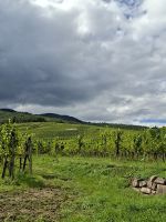 Weingut Ruhlmann