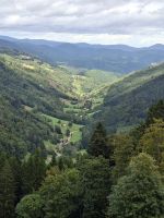 Hochvogesen -Talblick