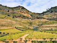 Landschaft am Douro bei Pinhao