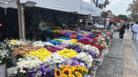 Blumen in Üsküdar