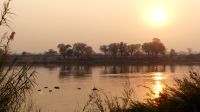 Sonnenaufgang am Okavango