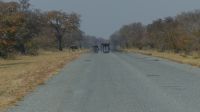Botswana - Transit durch den Chobe NP