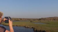 Bootsfahrt auf dem Chobe 
