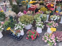 Blumen Campo de'Fiori