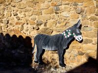 Früher war der Esel hier wichtigstes Transportmittel