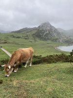 Spanien, Nationalpark Covadonga