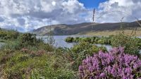 Glenveagh Nationalpark