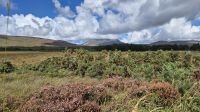 Glenveagh Nationalpark