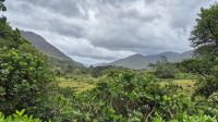 Kylemore Abbey
