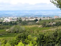 Blick auf Carcassonne 
