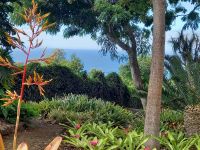 Botanische Garten.jpg