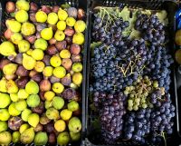 Eine Bäuerin verkauft vor dem Palast Trauben und Feigen