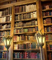 Die Bibliothek des Palastes ist prall gefüllt