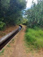 Wanderung nach Curral dos Romeiros.jpg