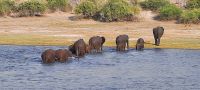 Bootsfahrt auf dem Chobe