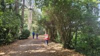 Wanderung auf dem Old Raylway..jpg
