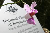 Ginger Garden in Singapur