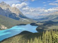 10. Tag – Banff bis Jasper – Icefields Parkway – Fotostopp am Peyto Lake