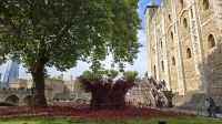 vor dem White Tower