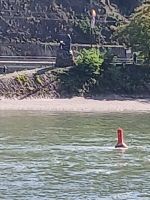 Die Loreley verzaubert die Schiffer