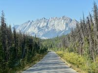 11. Tag – Ausflug im Jasper-Nationalpark – Rückfahrt nach Jasper