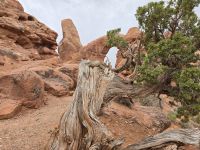 Windows Trail im Arches Nationalpark