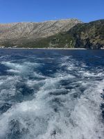 IMG_9701.jpeg