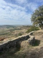 Apollonia