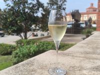 Sektprobe Cava Freixenet 