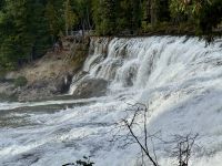 12. Tag – Jasper bis Clearwater – Ausflug in den Wells Gray Park – Dawson Falls