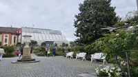 Blumeninsel Mainau (9).jpg