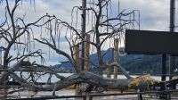 Bregenz- Kulisse an der Festspielbühne (3).jpg
