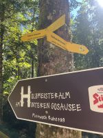Rückweg zum Vorderen Gosausee