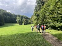 Wanderung nach Franzl im Holz