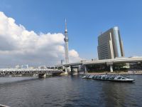 Skytree