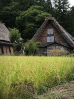Dorf Shirakawago 