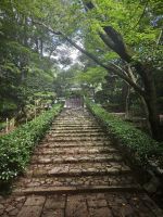 Kyoto 