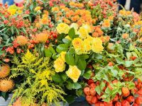 Tag 2 - Blumenpracht in Amsterdam 