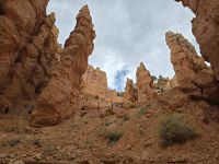 Hoodoos im Bryce Canyon