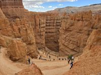 Hoodoos im Bryce Canyon