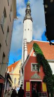 Kleinstes Haus in Tallinn 